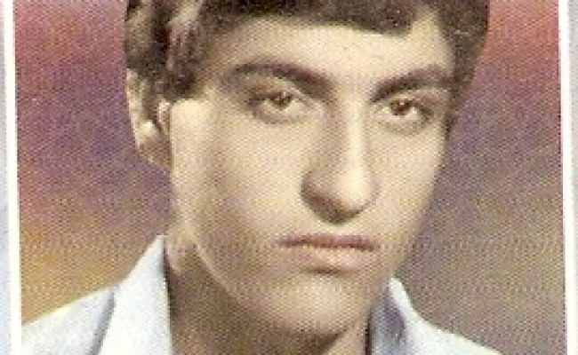 ahmadreza ebrahimi