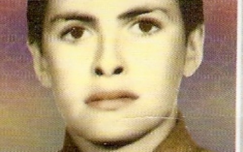 mahmood tarighaleslam