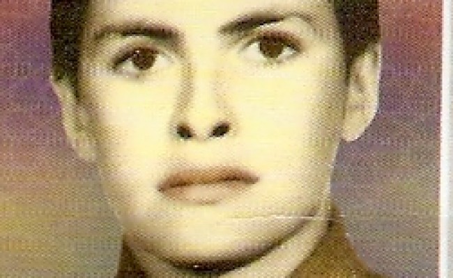 mahmood tarighaleslam