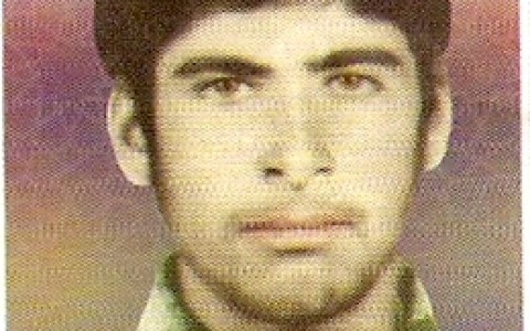 mohammad rezaei