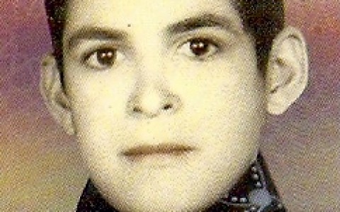 mohammadhossein rezaei