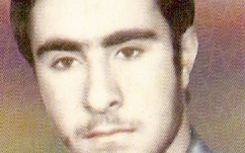 reza jamshidi